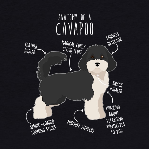 Parti Cavapoo Dog Anatomy by Psitta